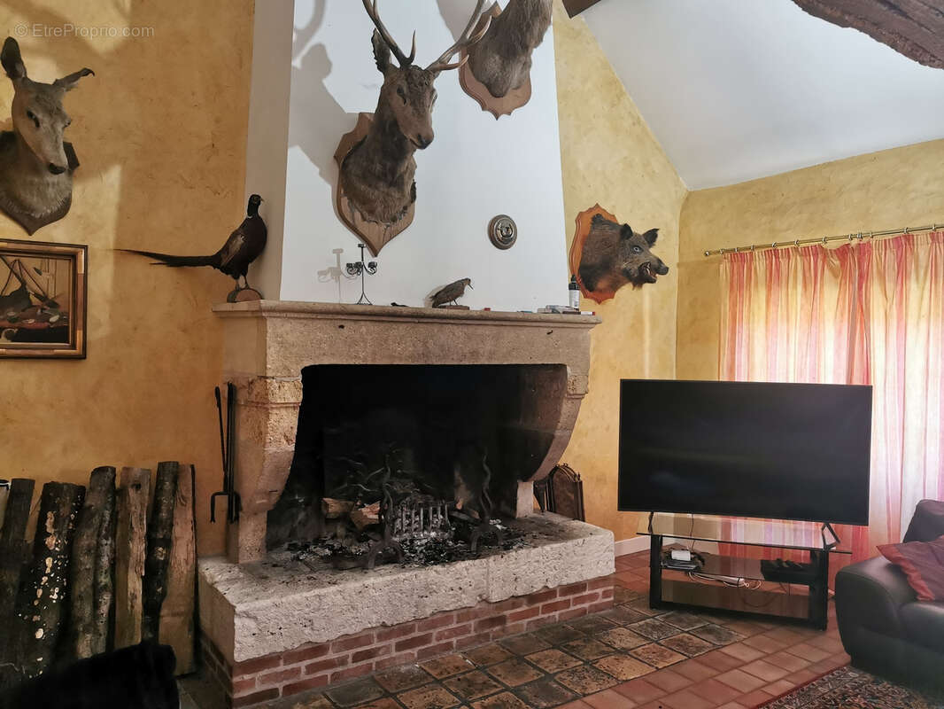 Maison à PRUNIERS-EN-SOLOGNE