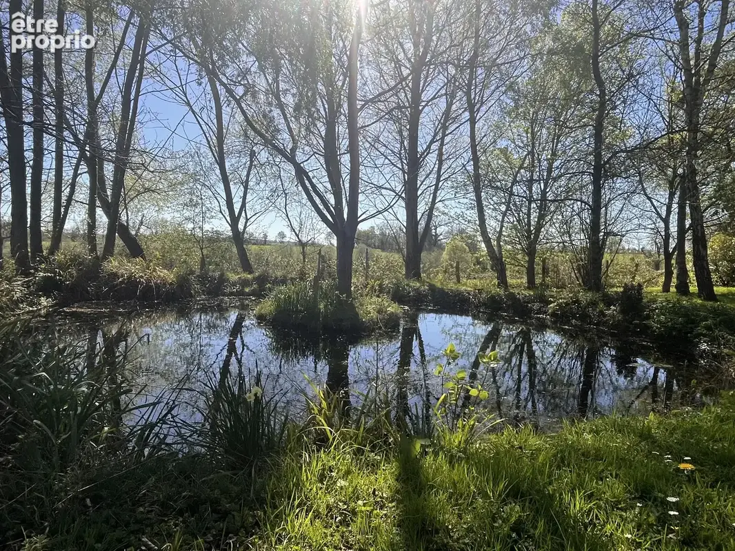 SOUS COMPROMIS Au coeur des vallées du sud Pays d'auge, au grand calme, jolie propriété normande... - photo 2