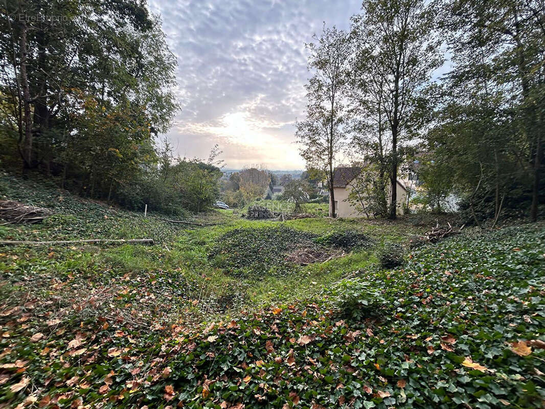 Terrain à VAUX-SUR-SEINE
