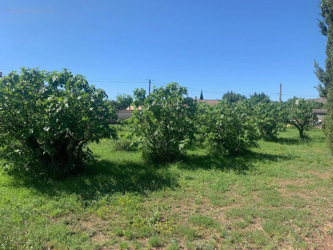 Photo 1 - Terrain à AUBIGNAN