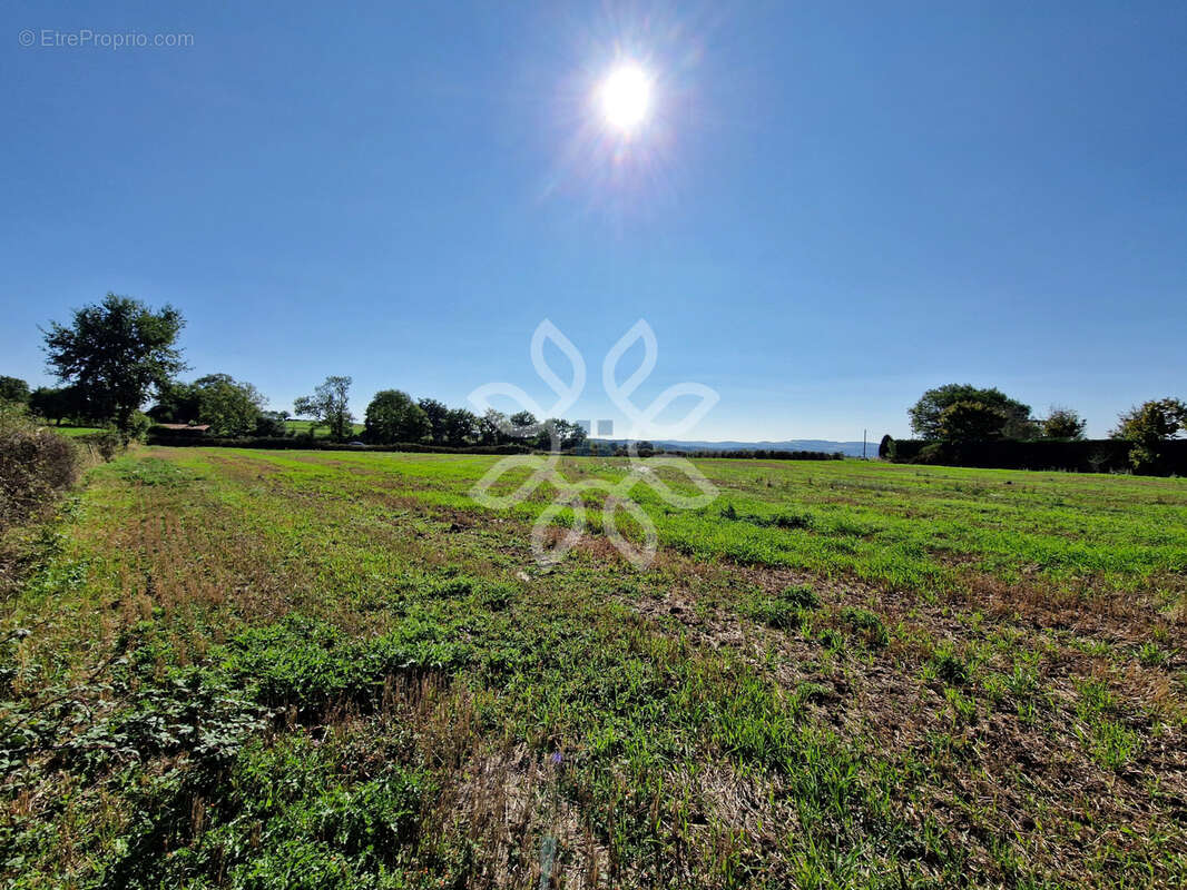 Terrain à LA CHOMETTE