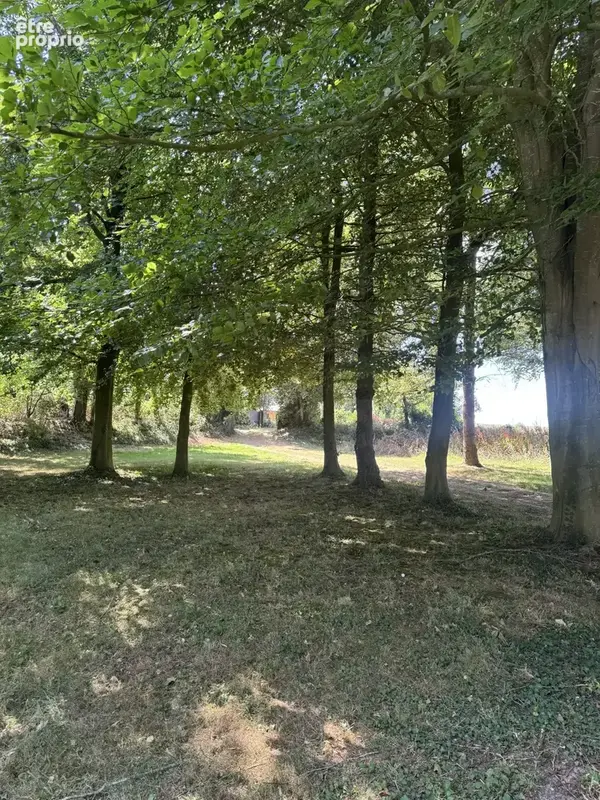 Maison 6 pièces 140 m² à vendre à Les Loges (76790) - photo 5