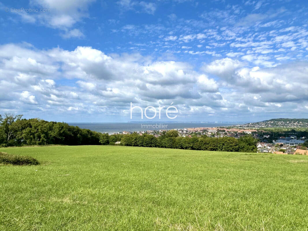 Terrain 1201 m² à Villers-Sur-Mer  - photo 3