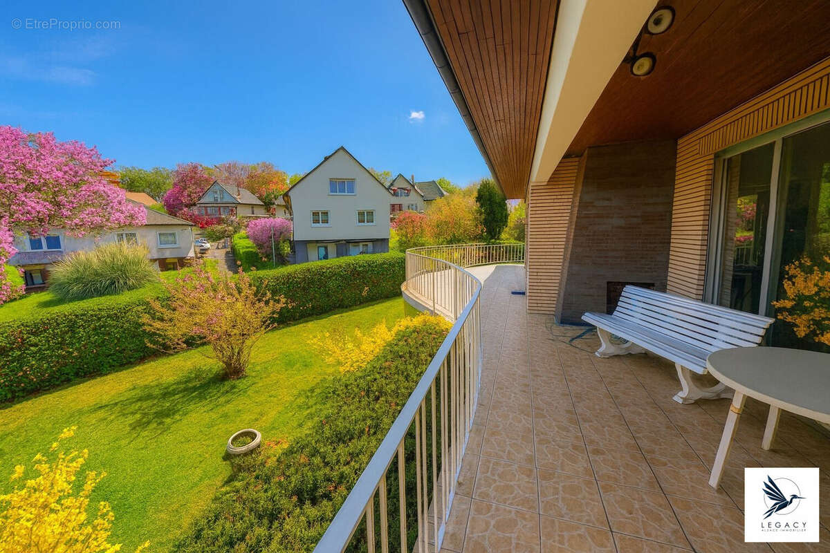 Maison 259 m² à Reichshoffen  - photo 3
