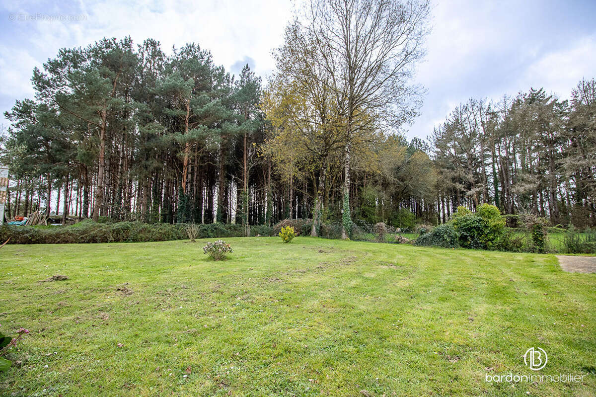 Maison à CHATEAUNEUF