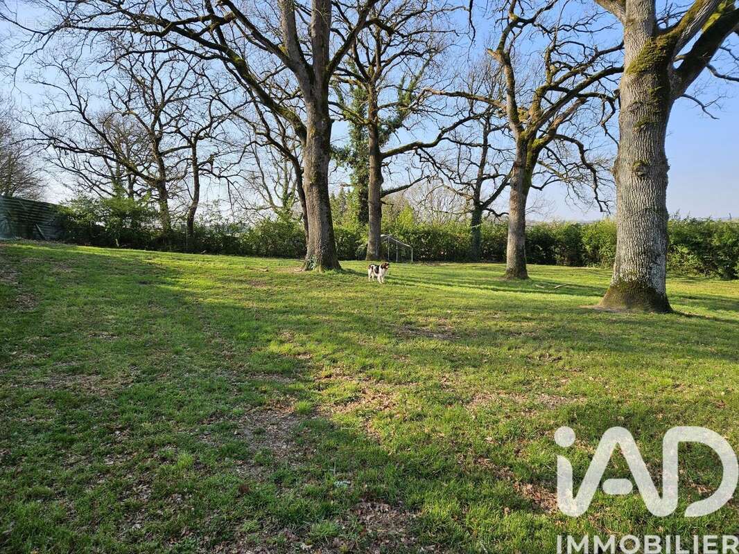 Maison 238 m² à Angeville  - photo 6