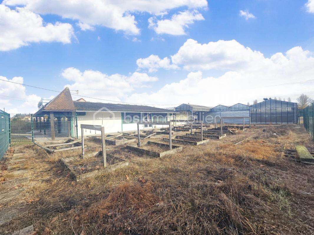 Commerce à SULLY-SUR-LOIRE