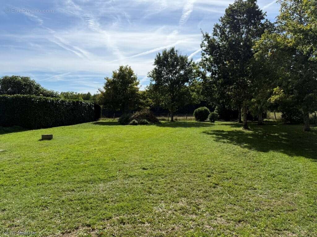 Maison à CHAMPAGNE-MOUTON