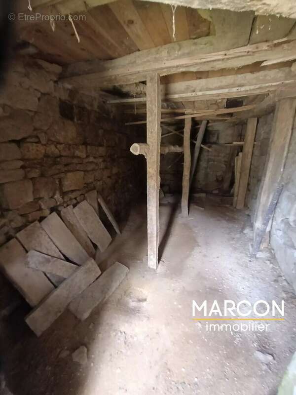 Vente maison secteur saint georges la pouge - photo 20
