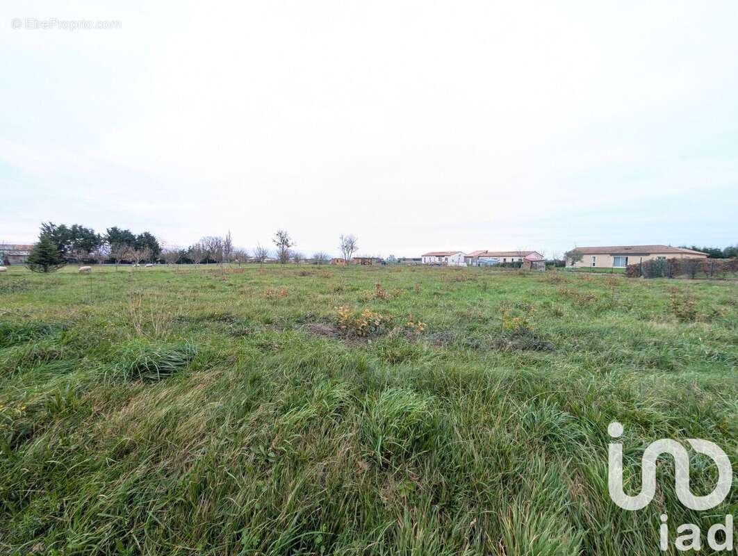 Photo 4 - Terrain à LEIGNES-SUR-FONTAINE