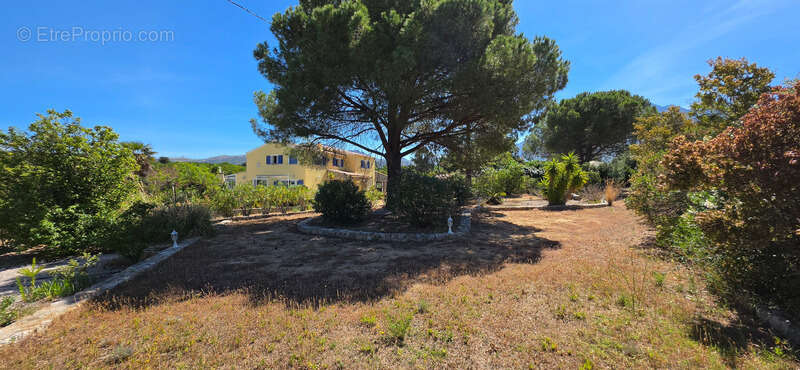 CALENZANA Maison à vendre 305 m² terrain de 5600 m² - Piscine - vue sur Calvi - photo 14