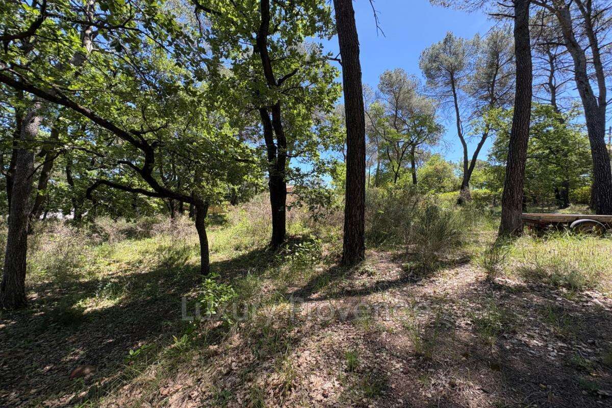 vente terrain - photo 2