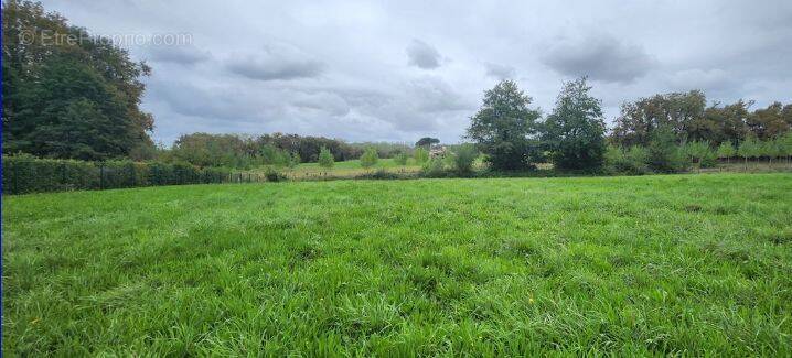 Terrain à SERRES-GASTON
