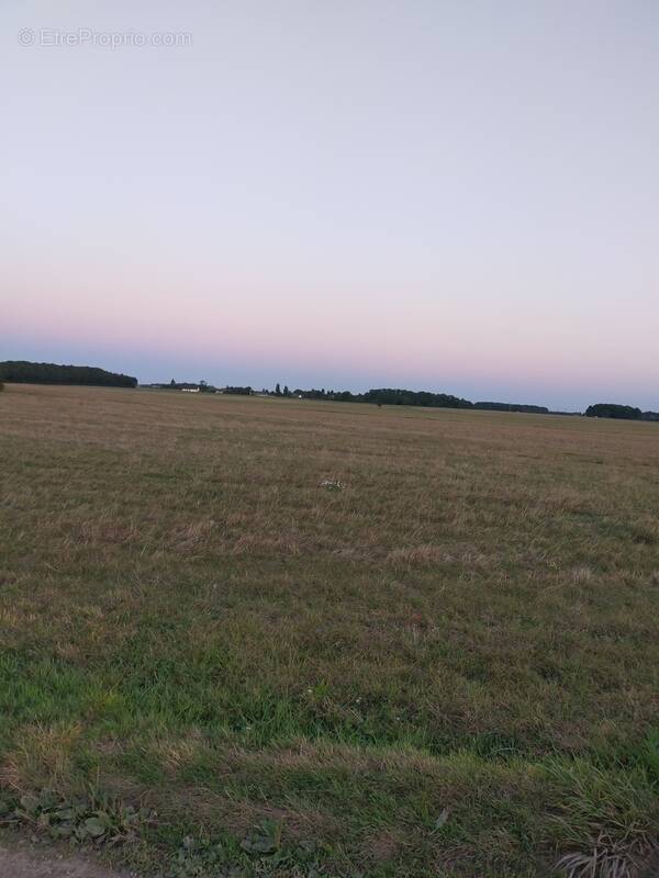 Terrain à GARENCIERES