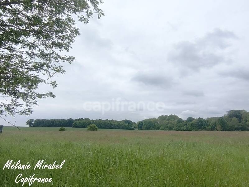 Terrain à COURDEMANCHE