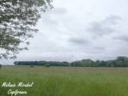 Terrain à COURDEMANCHE