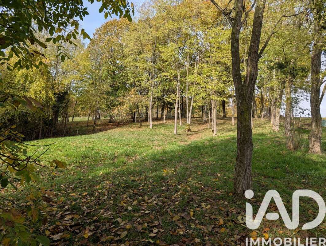 Photo 3 - Terrain à DOMFRONT-EN-CHAMPAGNE