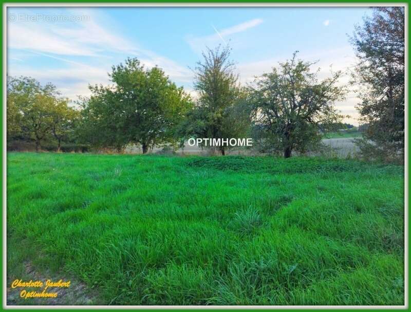 Maison à VILLEBOIS-LAVALETTE