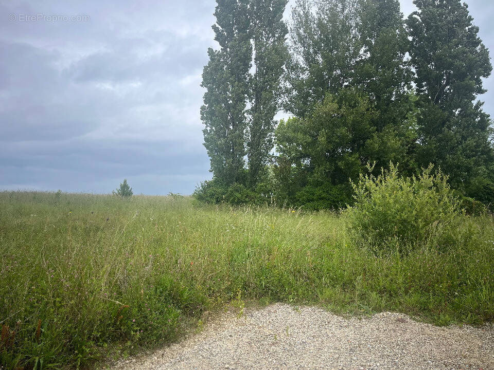 Terrain à PEUJARD