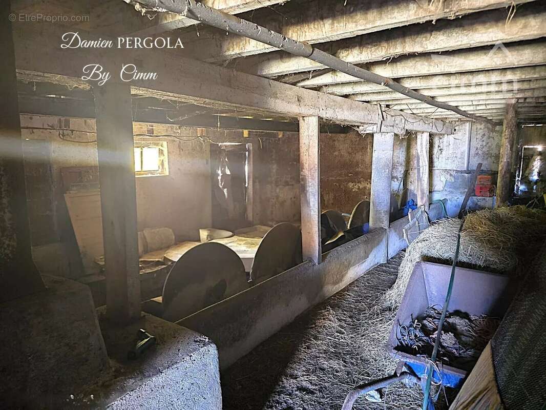 Corps de ferme avec près de 3 hectares et vue dominante – Bien rare à Montignac-Lascaux - photo 13
