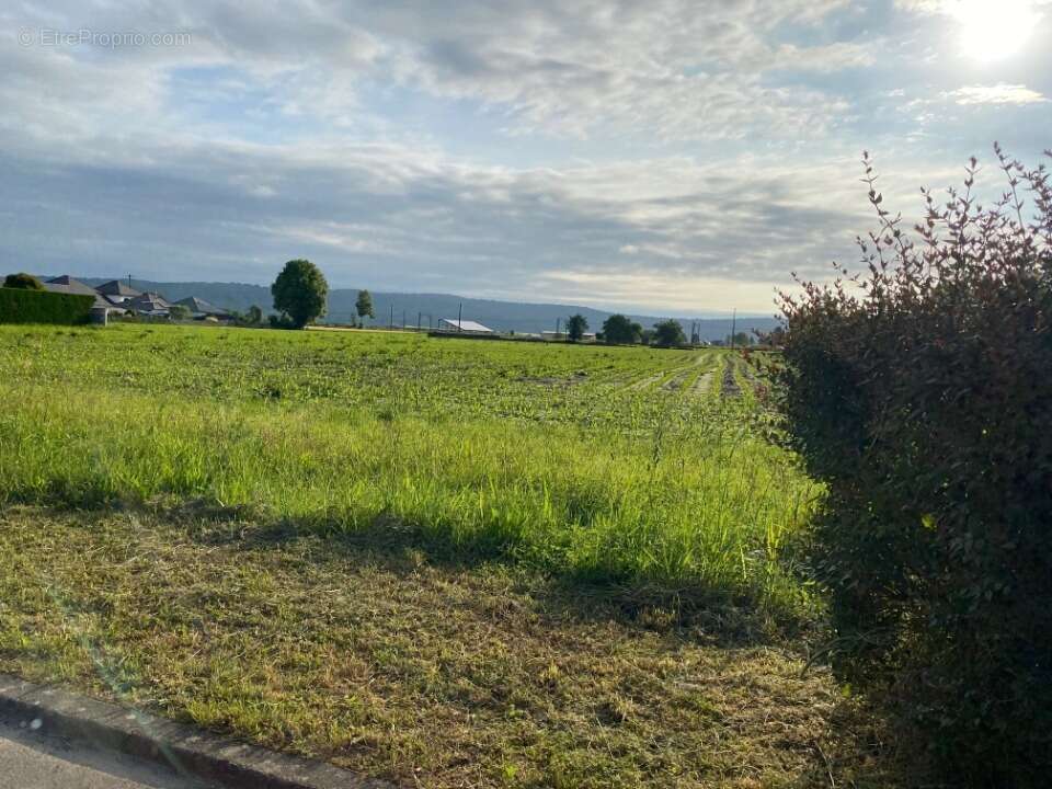 Terrain à BOEIL-BEZING