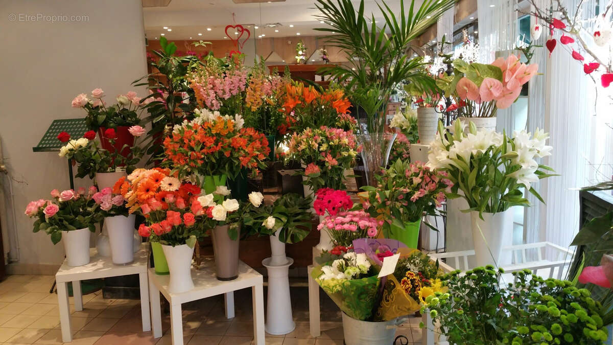 Commerce à VILLENEUVE-LE-ROI