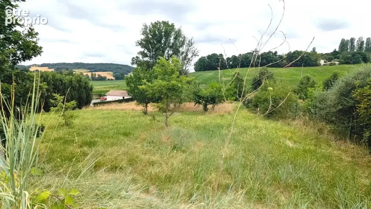 Un paysage champêtre avec un champ herbeux, quelques arbres et des collines à l'arrière-plan sous un ciel nuageux.
