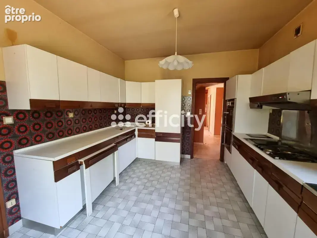 Maison 272 m² à Le Malzieu-Ville  - photo 11