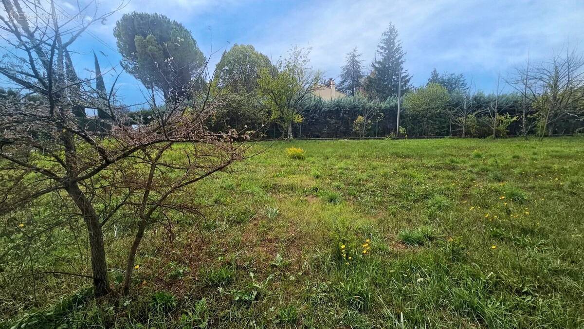 Terrain à NANS-LES-PINS