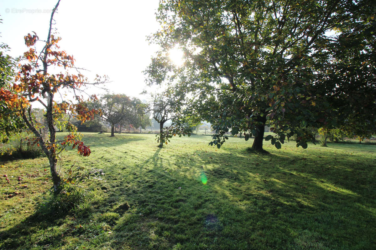 Maison à LA BATIE-MONTGASCON