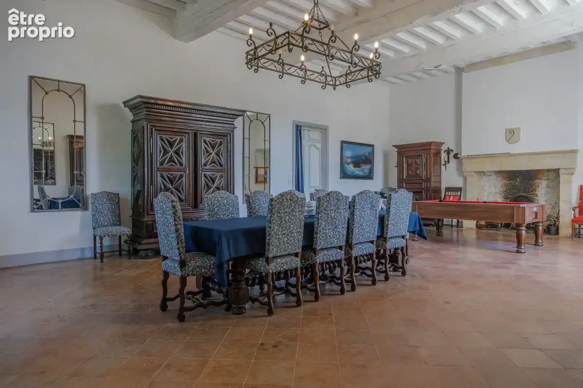Château historique sur 19,5 hectares - photo 8