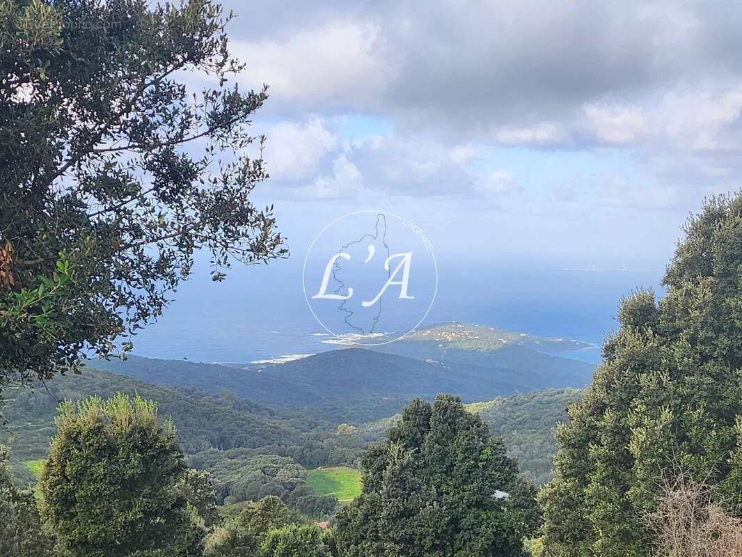 Terrain à COTI-CHIAVARI