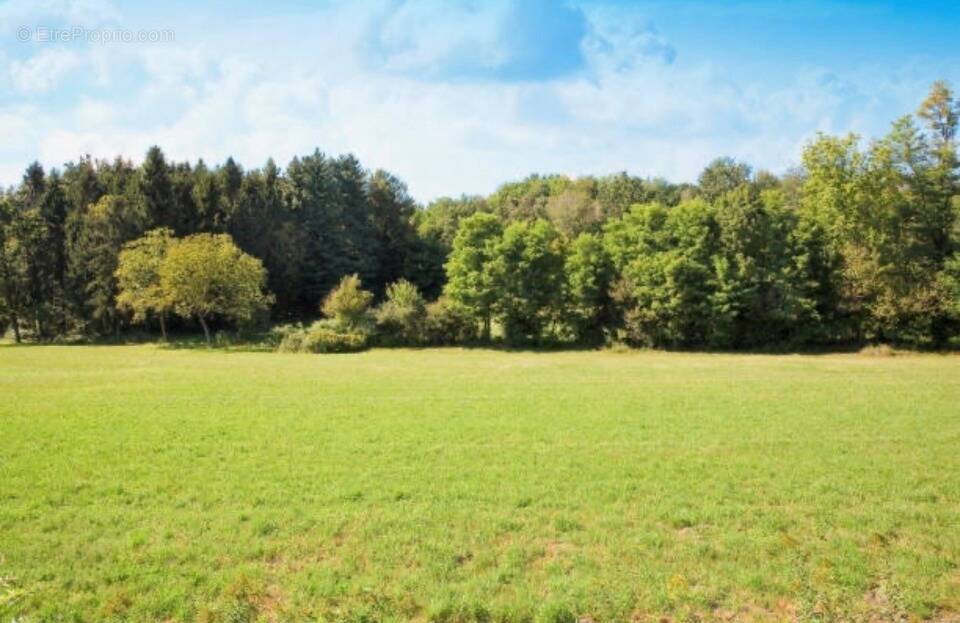 Terrain à CHESSY