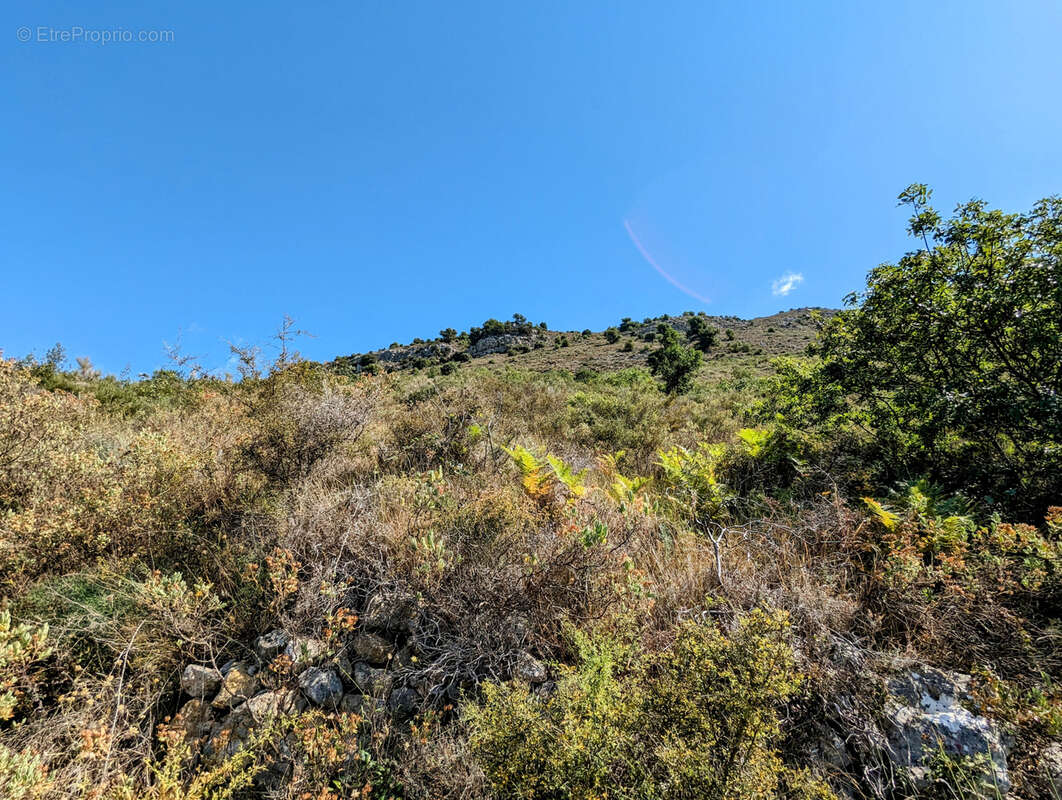 Terrain de 68490 m2 NON CONSTRUCTIBLE, Vence 06140 - photo 7