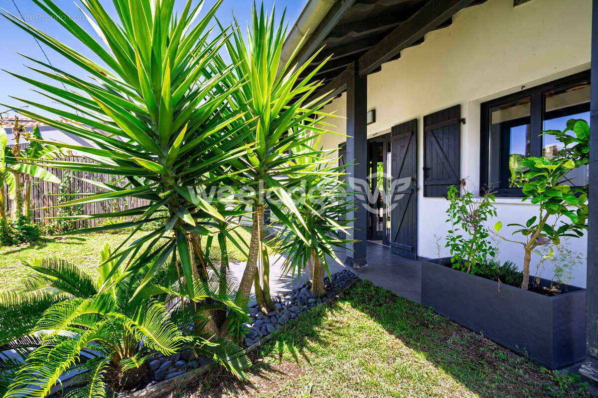 Maison à ANGLET