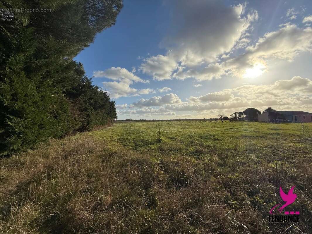 Terrain à LARRA