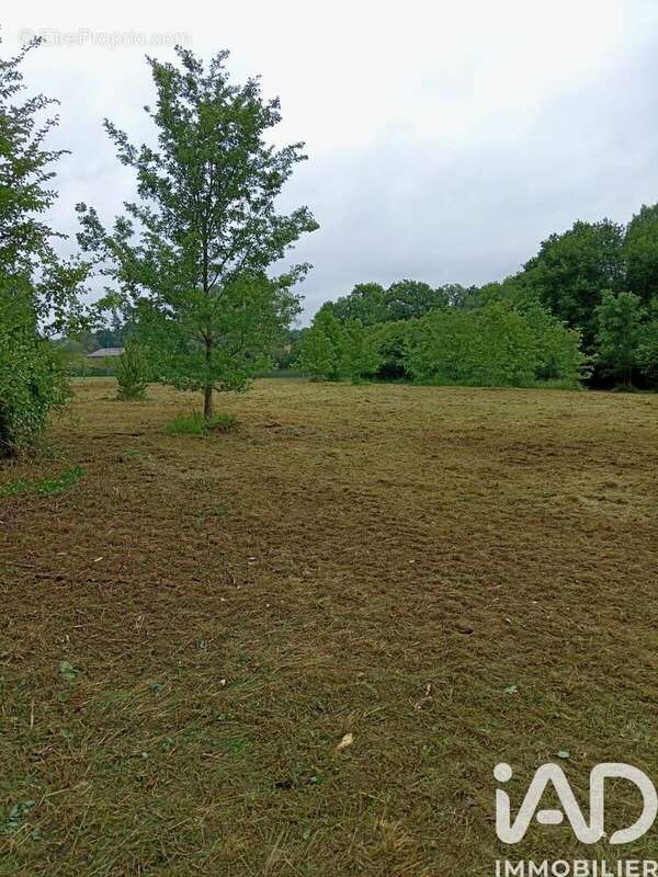 Photo 2 - Terrain à USSON-DU-POITOU