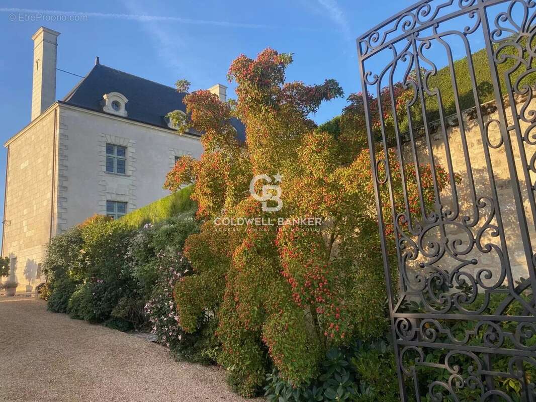 Manoir & vignoble aoc clos saumur - photo 4