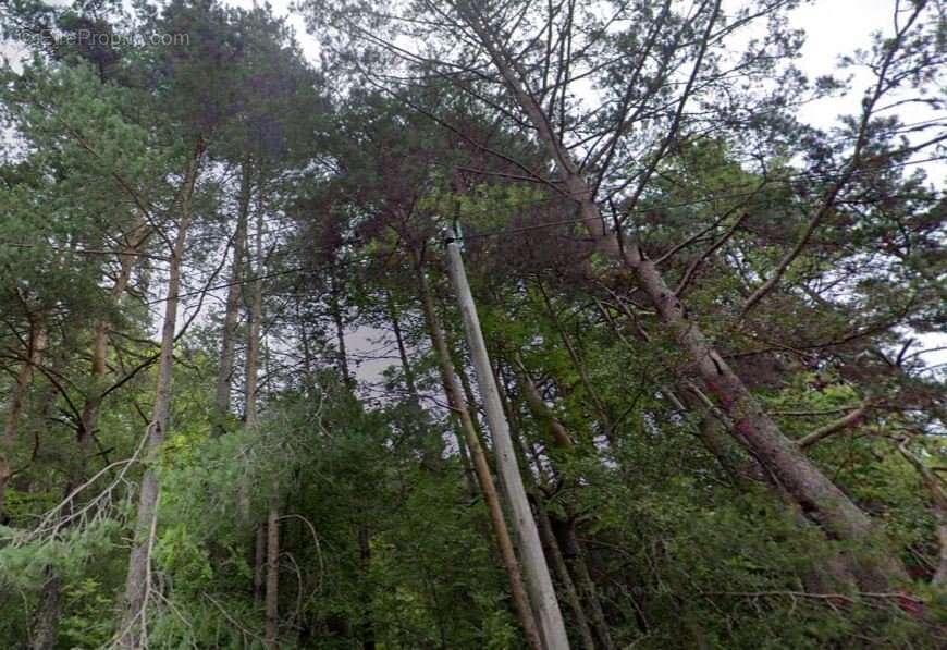 Terrain à SAINT-SAUVEUR-CAMPRIEU