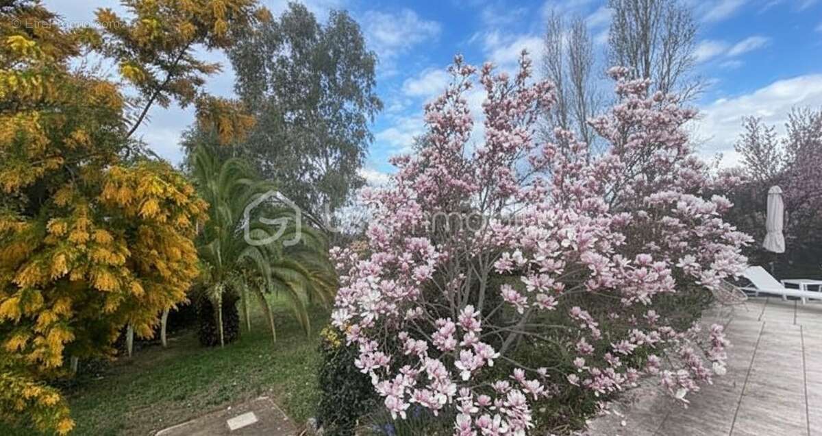 Maison à TOURRETTES