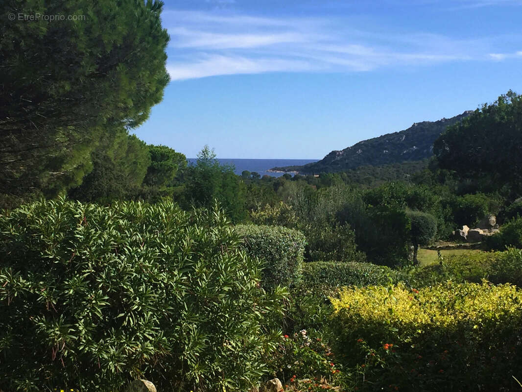 Maison à PORTO-VECCHIO