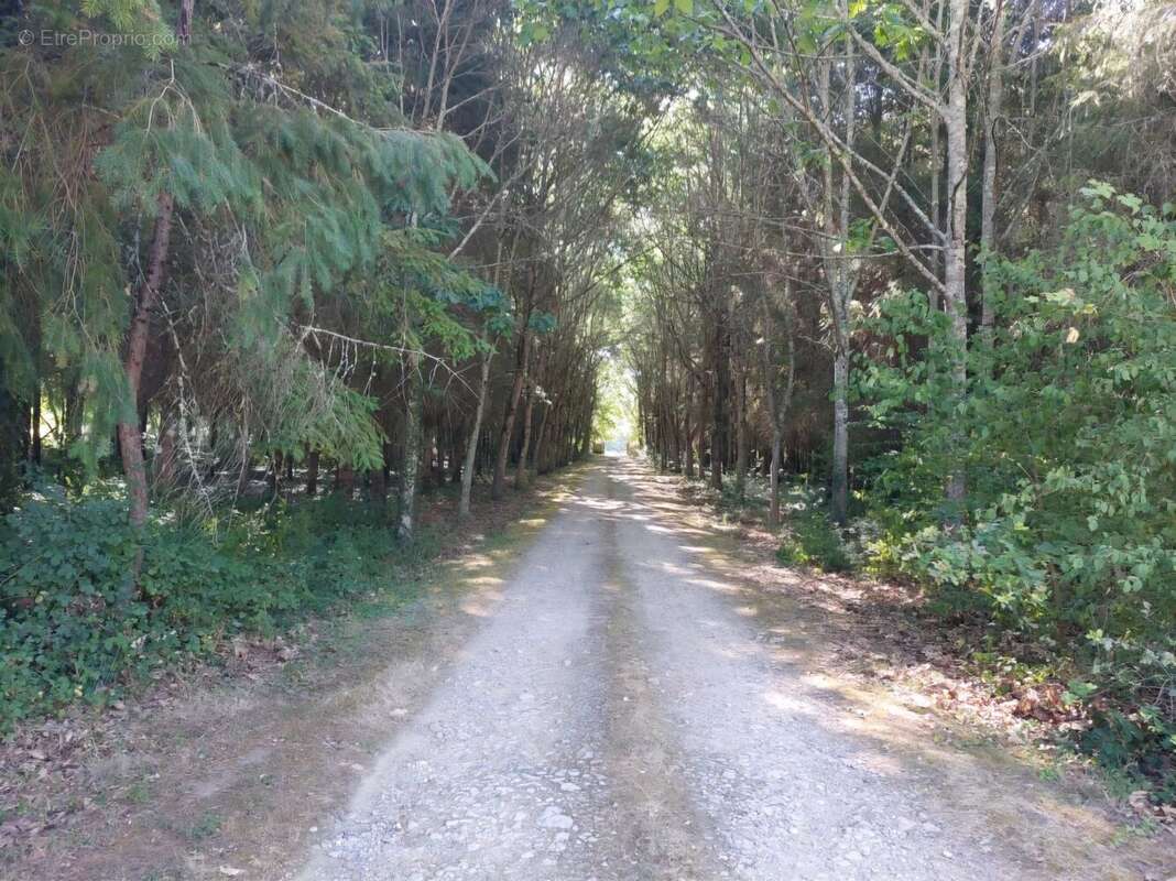 Vente Maison Valdivienne(86300) 399 000ï¿œ - photo 4