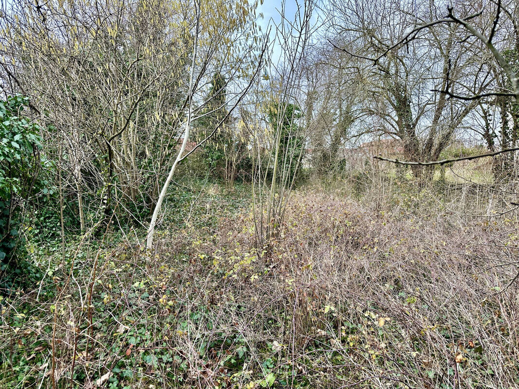 Terrain à OTTMARSHEIM