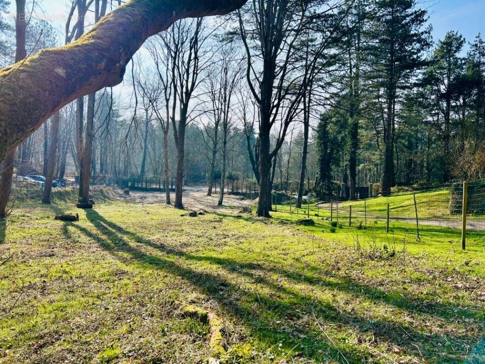 Terrain à NEUFCHATEL-HARDELOT