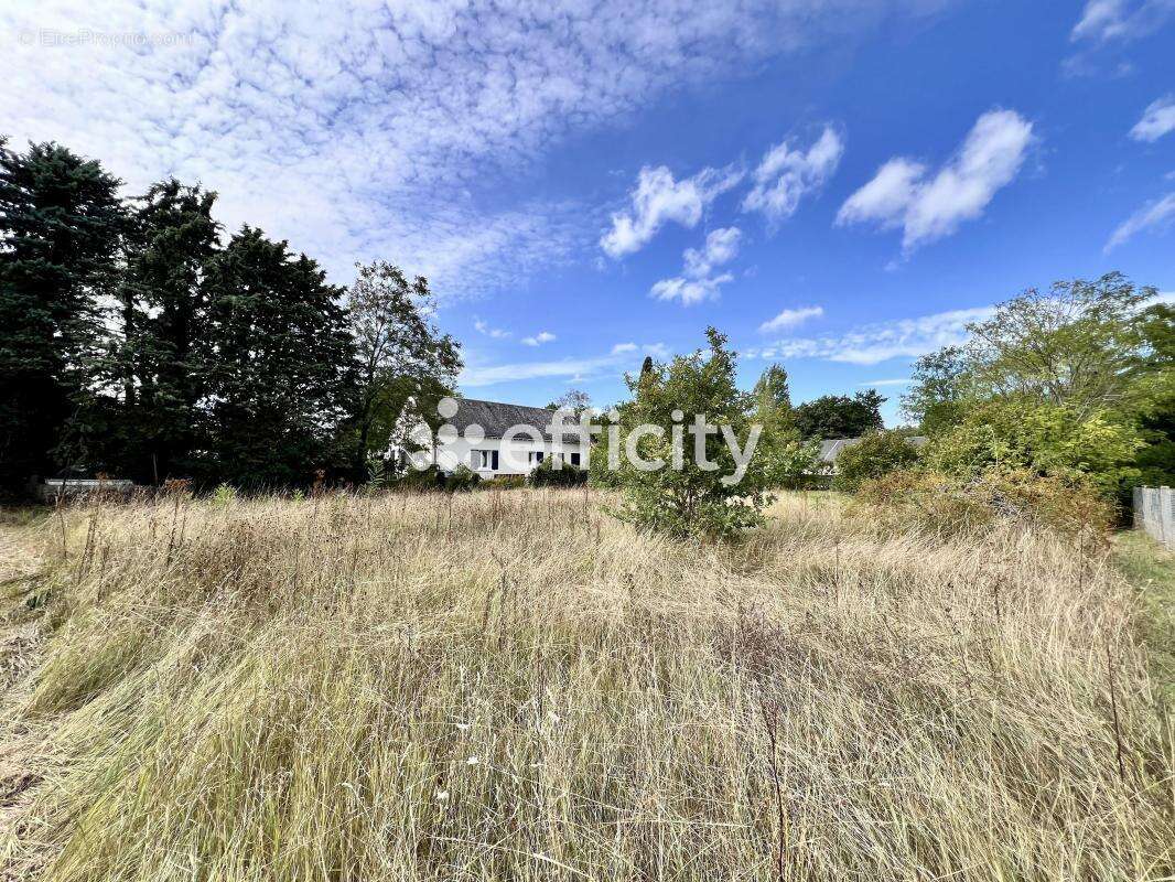 Terrain 1641 m² à Chinon  - photo 4