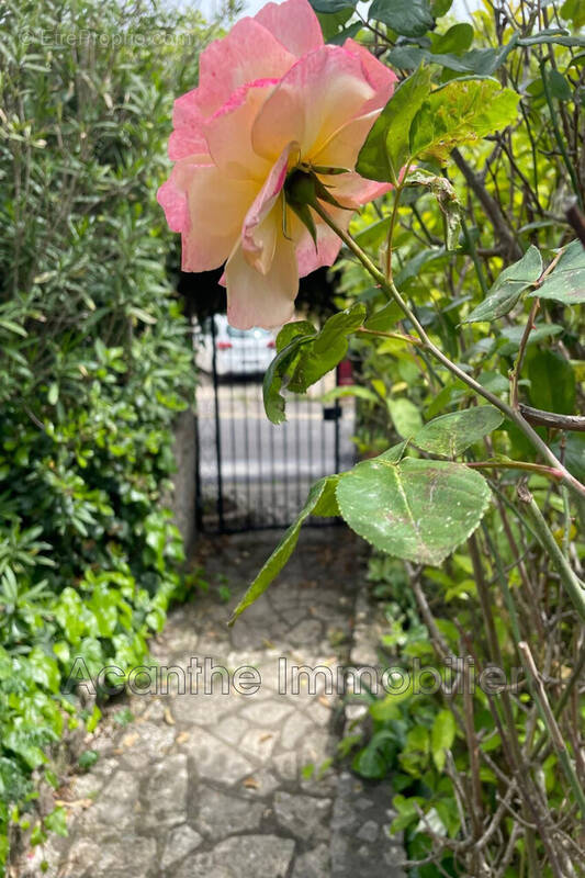 Maison à SAINT-AUNES