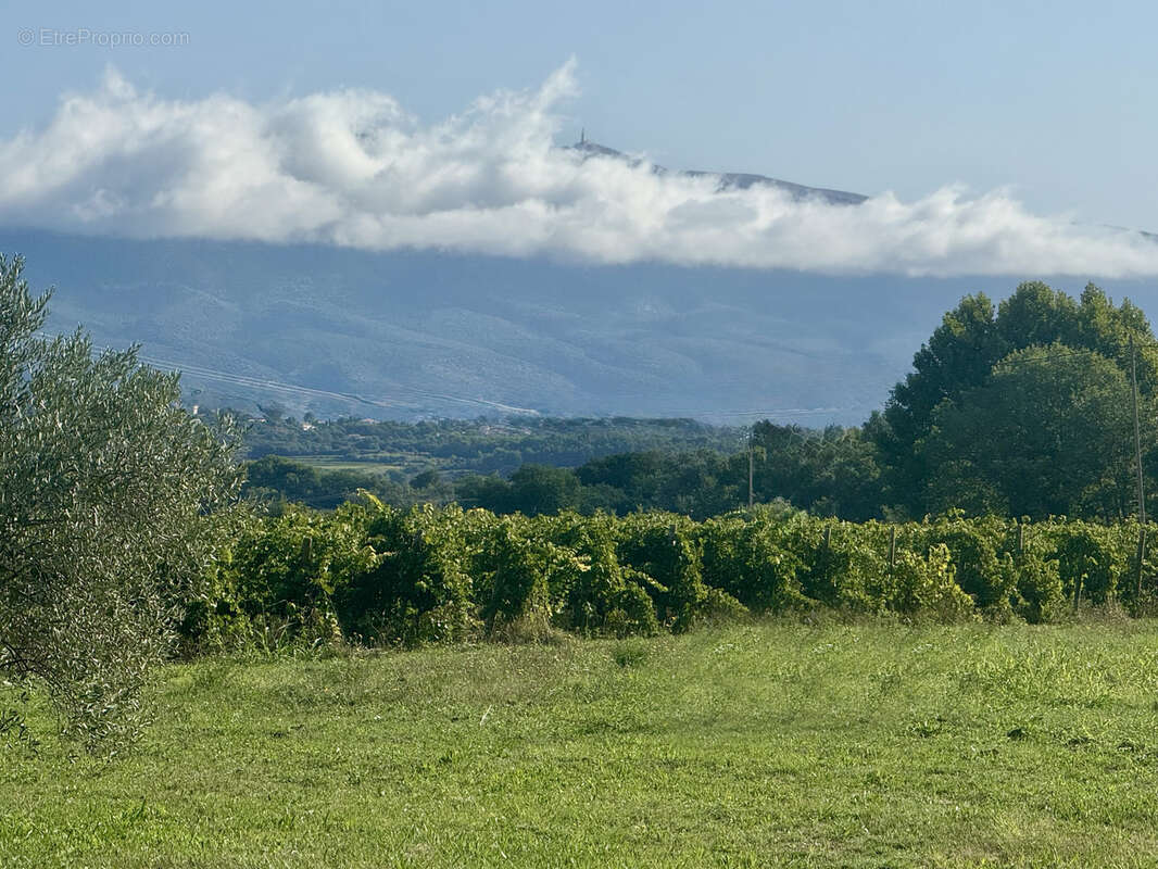 Autre à AVIGNON