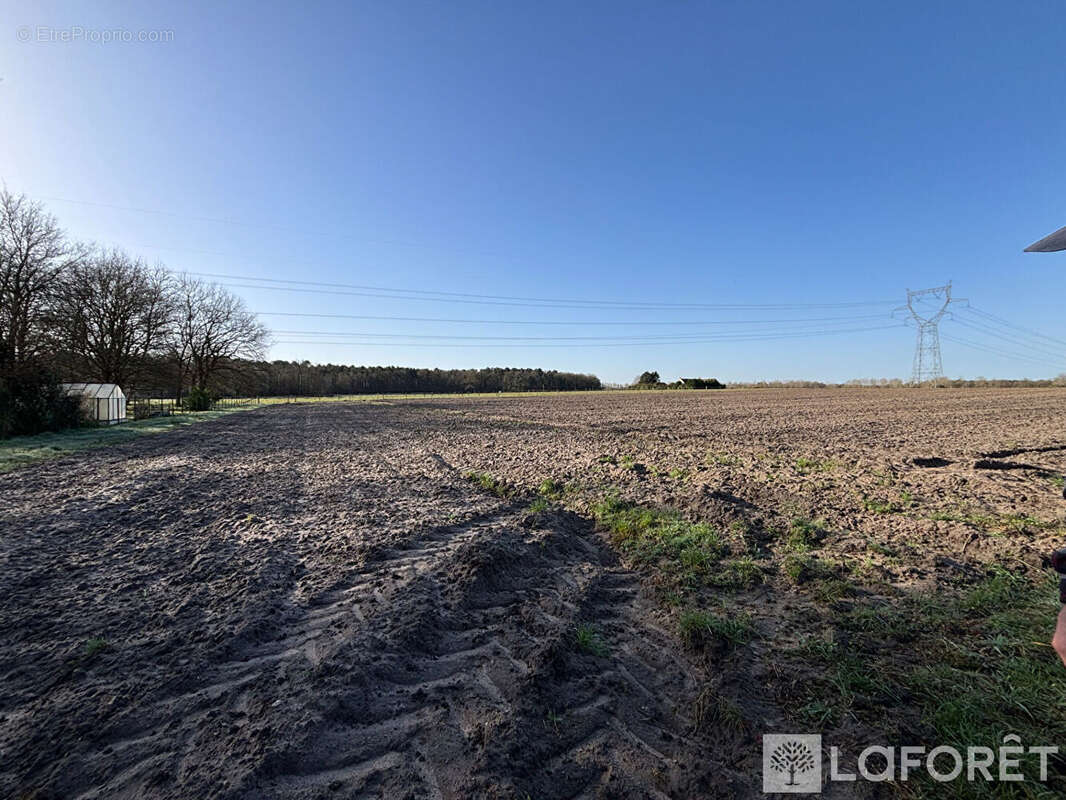 Terrain à AVRILLE-LES-PONCEAUX