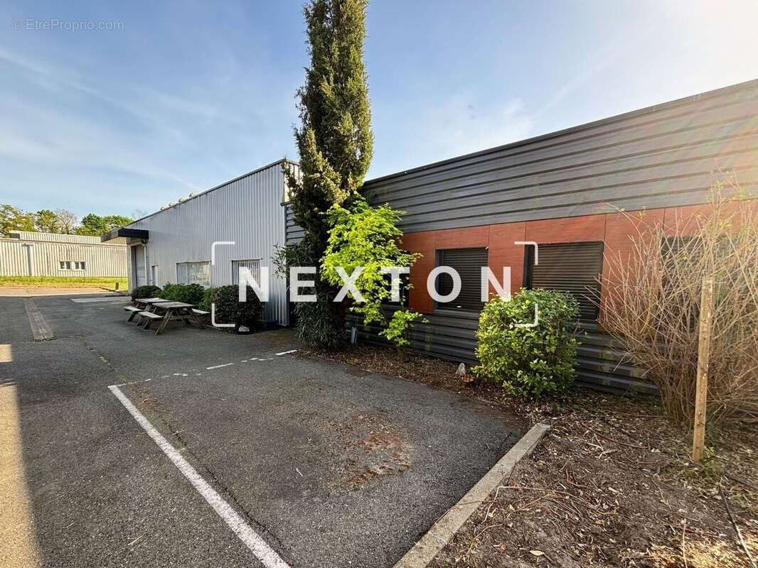 Commerce à NARROSSE