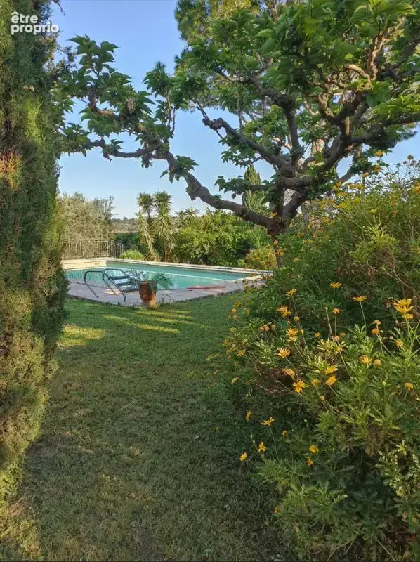 villa  provençale avec piscine - photo 5